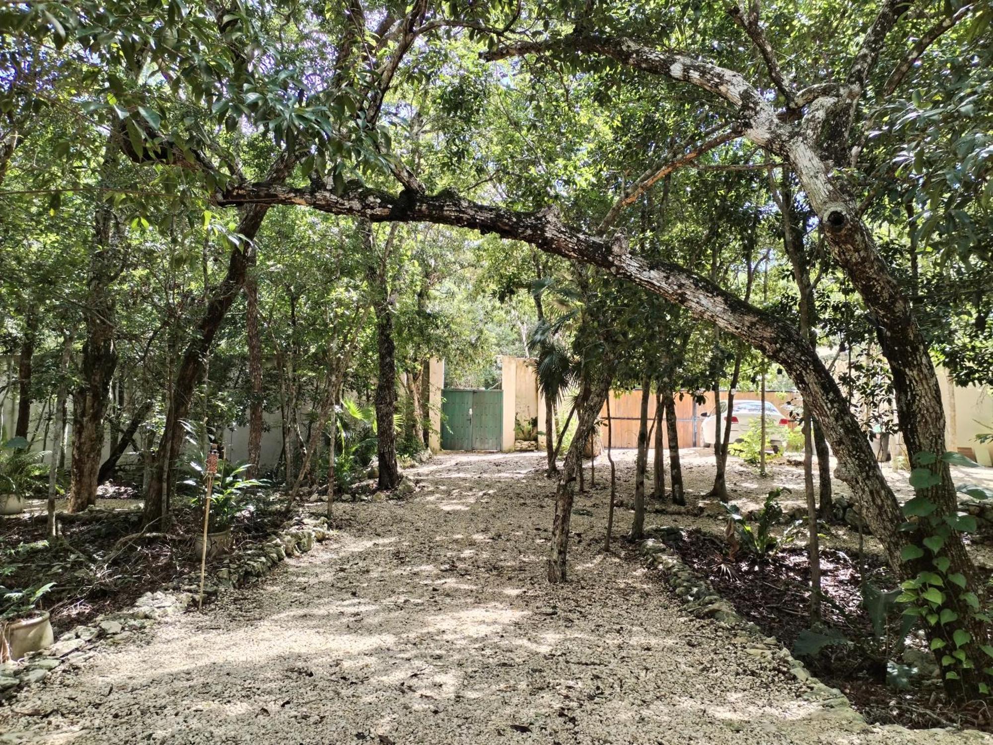 Vila Saasil Kaax Chemuyil Exteriér fotografie